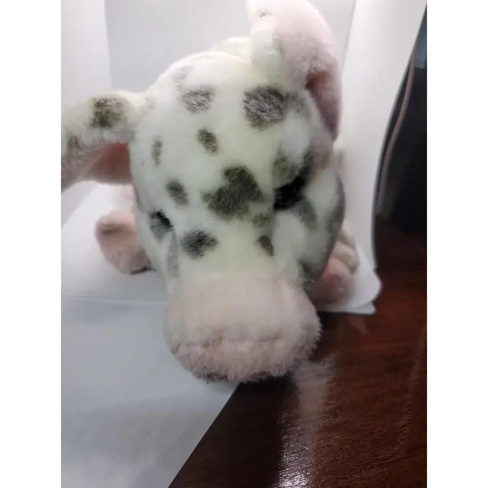 Douglas Leroy Spotted Pig Plush 12